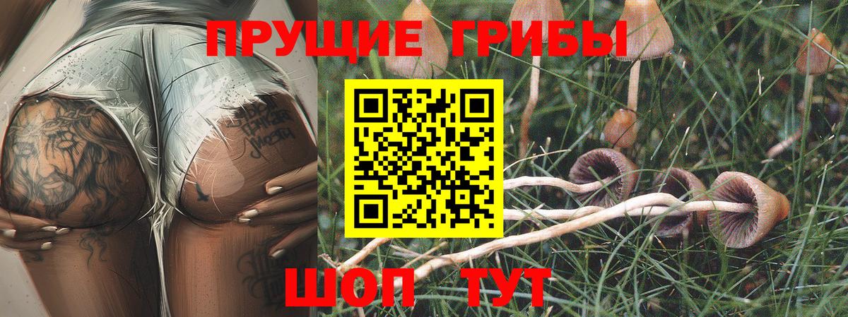Коркино  наркотики  Вход с VPN  Галлюциногенные грибы MAGIC MUSHROOMS 